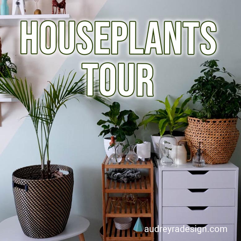 February 2021 Houseplants Tour - Audrey Ra Design